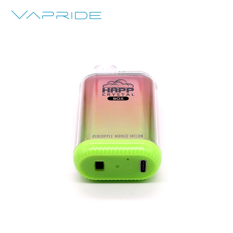 OEM Marca 12000 Puffs VAPE lápiz desechable vape con malla Bobina