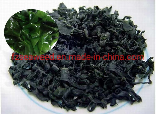 Top Quanlity Seafood Seaweed Wakame for Wholesale