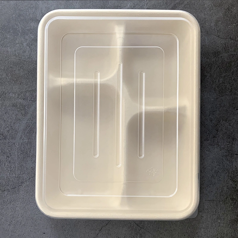 Watsonpak Environmental Protection Microwave Co Sugarcane Bagasse Bamboo Pulp Disposable Food Service Pulp Paper Compartment Biodegradable Tray with Lid