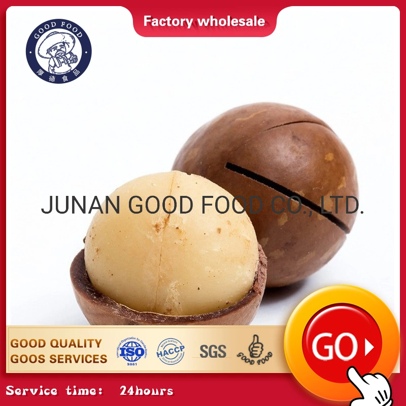 Best Grade a Quality Raw Macadamia Nuts