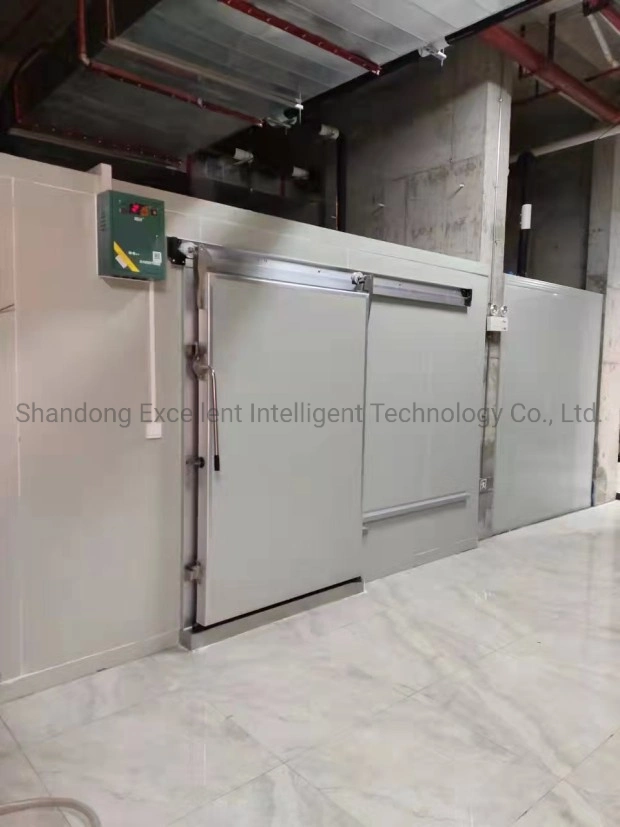 High-Quality Refrigeration System Fruit and Vegetable Preservation Walk-in Container Cold Storage Room