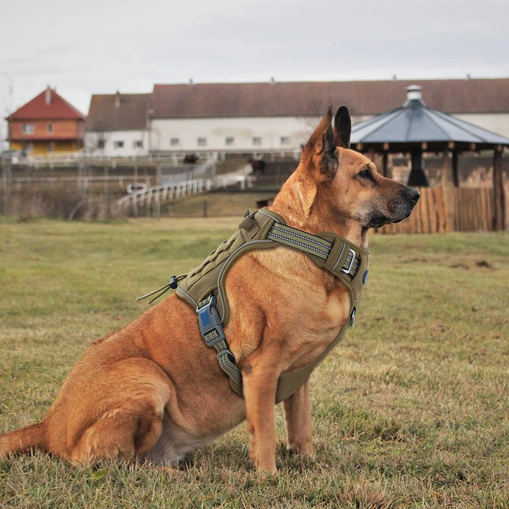 Outdoor Tactical Dog Training Harness