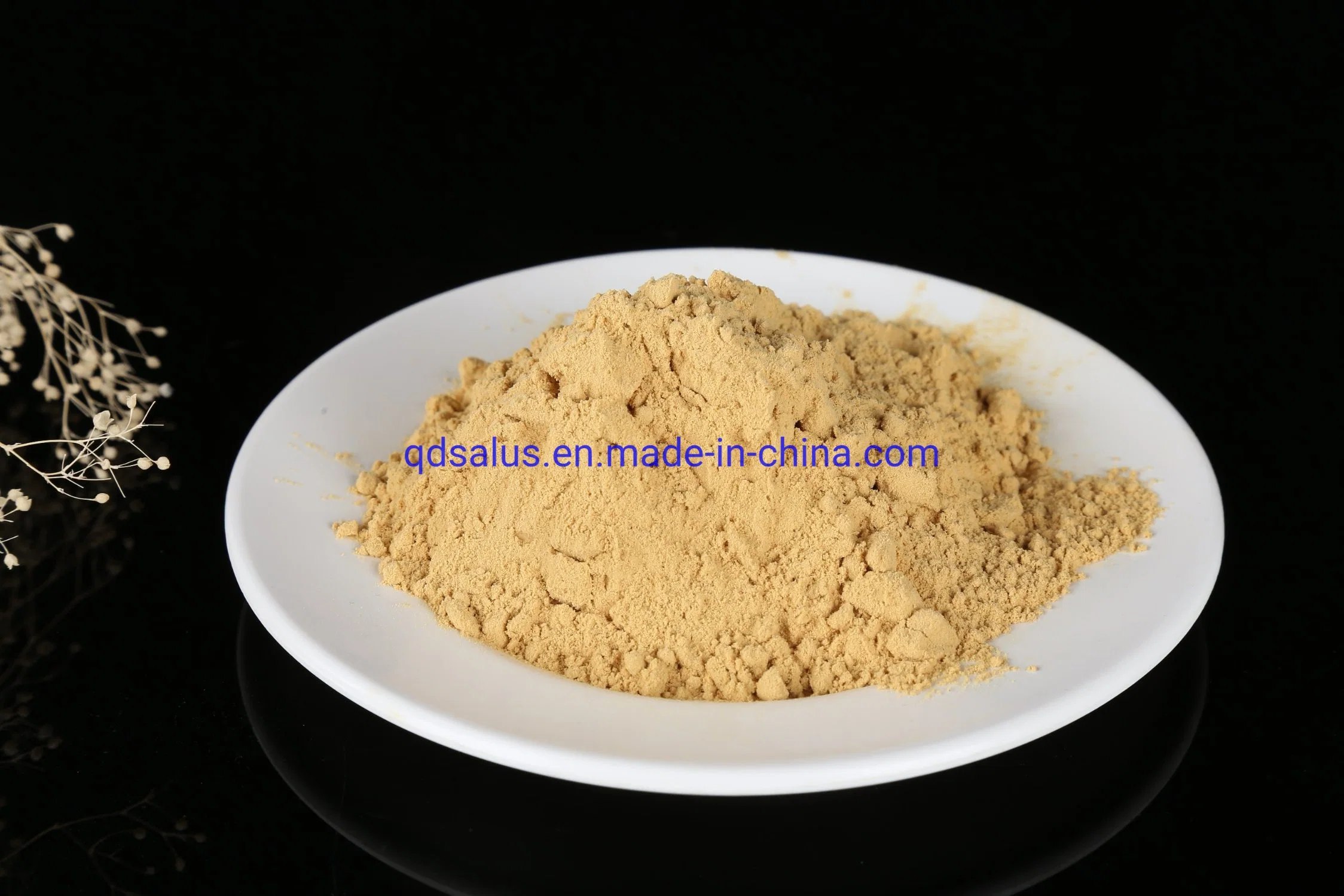 Chitosan Agriculture Grade with Good Quality