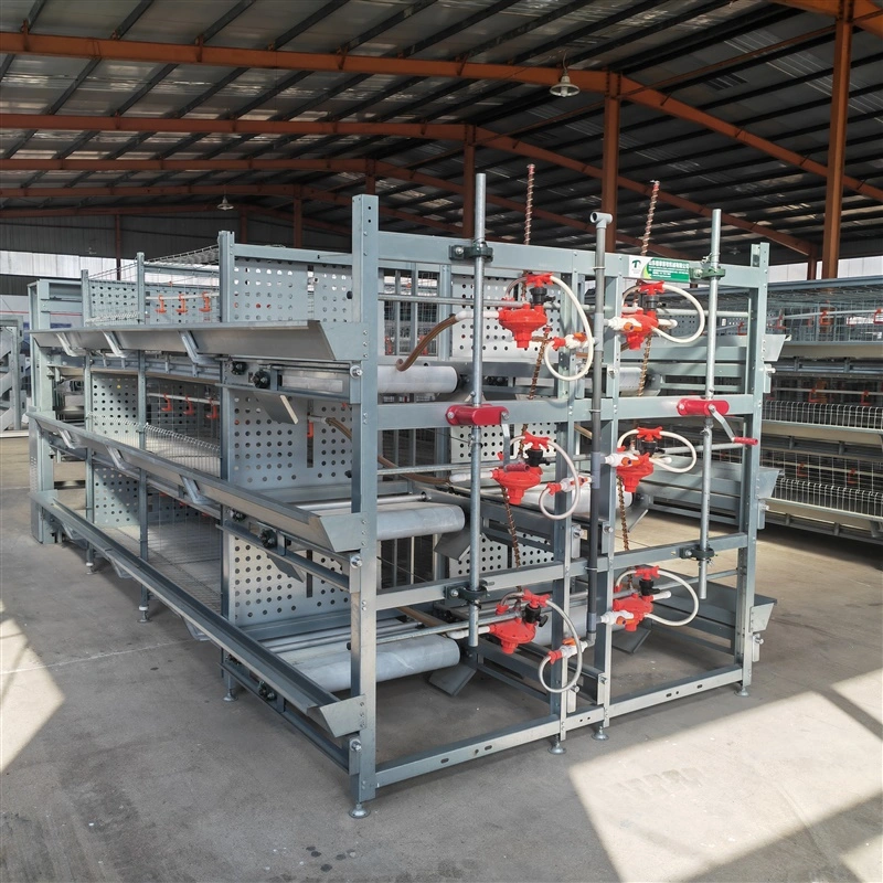 New Design 3 Tier 120 Capacity Layer Chicken Cage Poultry Farm for Nigeria with Great Price