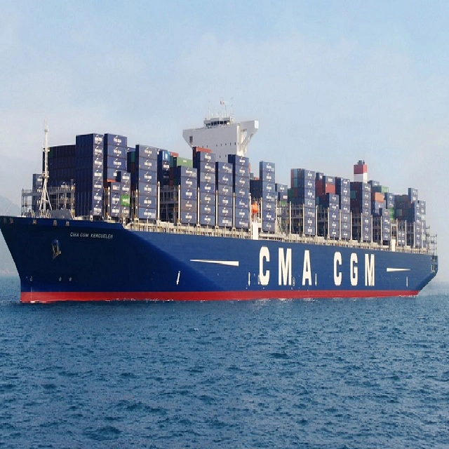 China Reliable Sea Freight Forwarders to USA/Canada/European