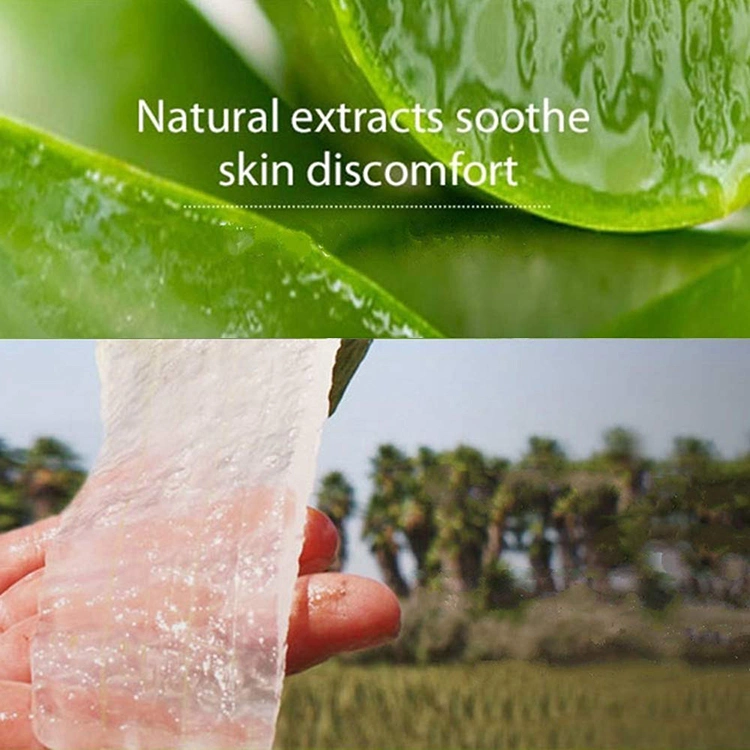 High quality/High cost performance  99% Aloe Vera Moisturizing Soothing Gel Hand Sanitizer Face Gel 200ml