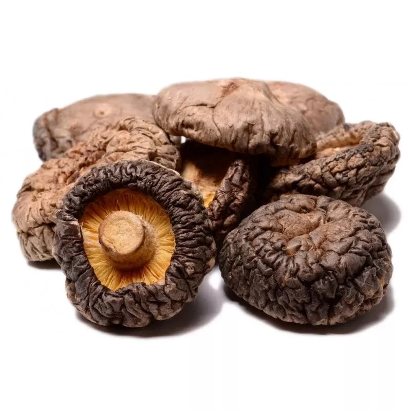 Hot Sale de haute qualité séchées organiques séchés champignon shiitake