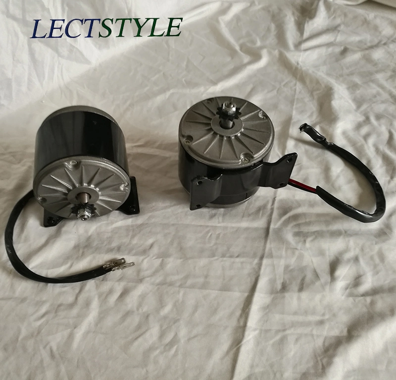 24V 250W Segway Electric Bicycle Gear Motor on Scooter