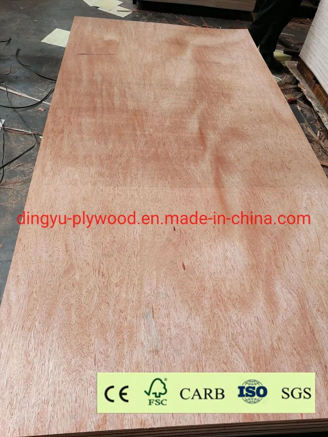 Bintangor Plywood Hot Press Two Times Poplar/Hardwood Core Board