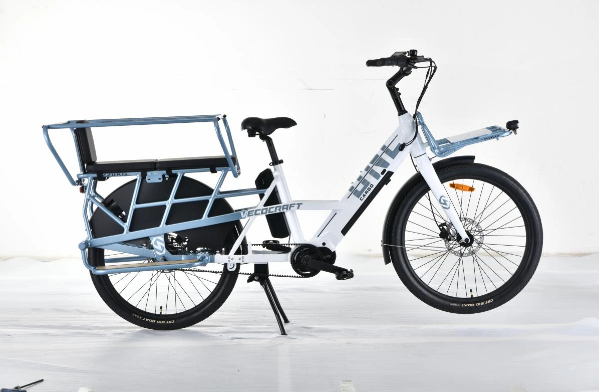 سيارة MID Drive Ebike دراجة الشحن الكهربائية تحمل اثنين من الأطفال ببطاريتين