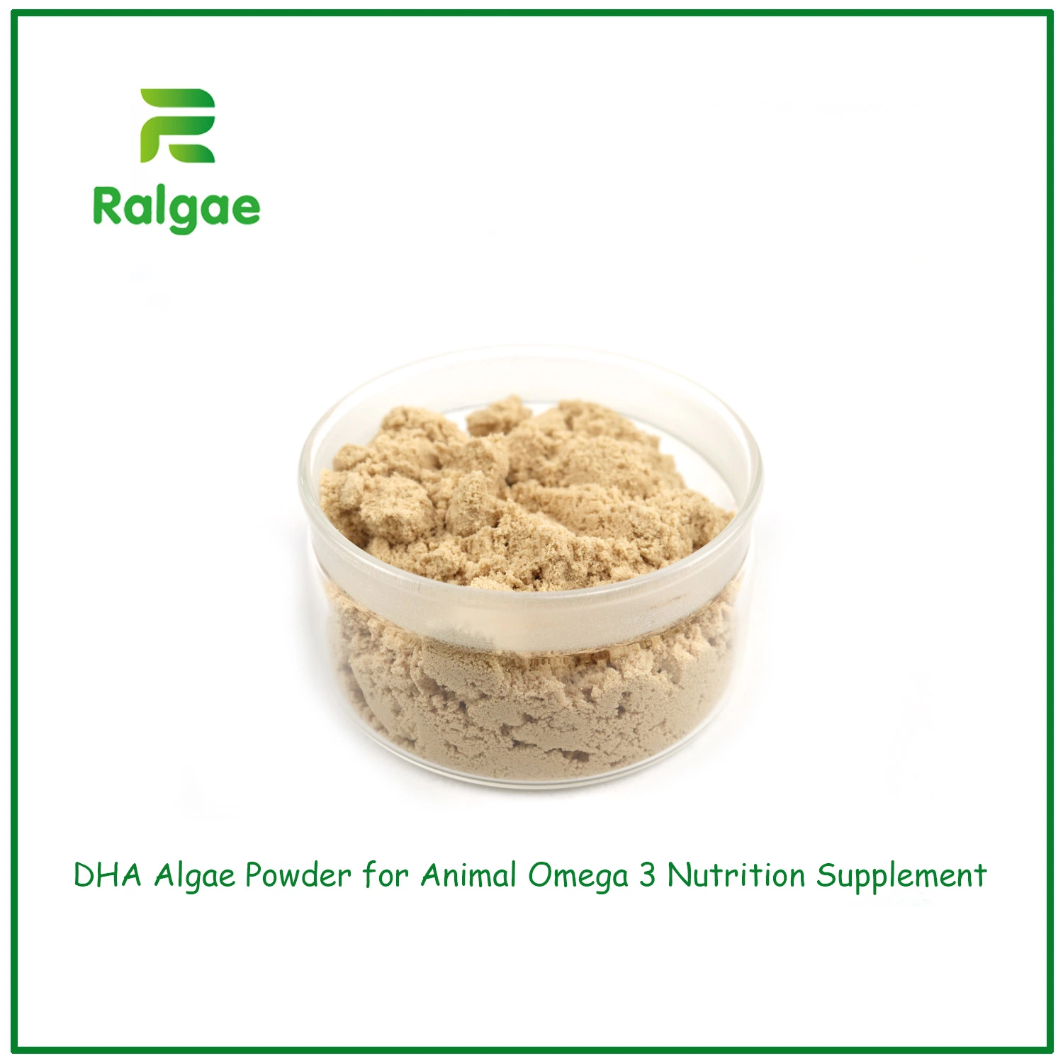 High DHA Omega-3 Microalgae Schizochytrium Powder Feed Grade DHA for Animal CAS6217-54-5
