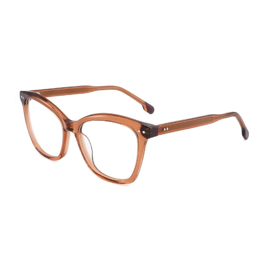 Popular Style Acetate Clear Designed Brand Ray-Ton Vision Optical Frame