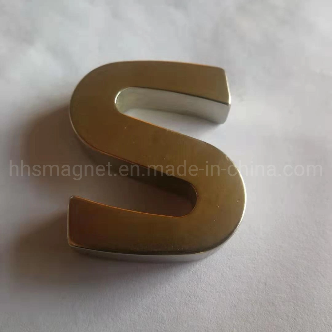 Factory Custom Powerful Magnet Magnet Magnet NdFeB Irregular Magnet