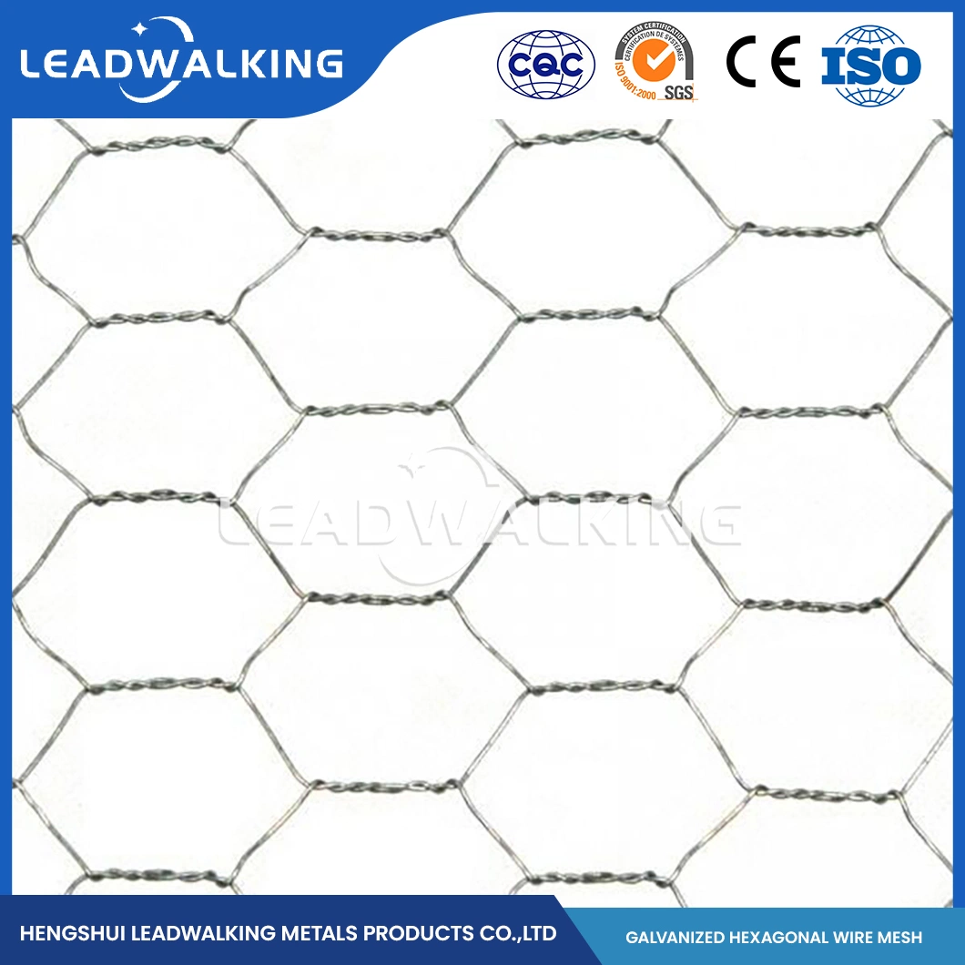 Leadwalking China Fox Proof Chicken Wire Mesh Factory Mild Steel Wire Material 5/8 Inch Mesh PVC Coated Hexagonal Hexagonal Mesh