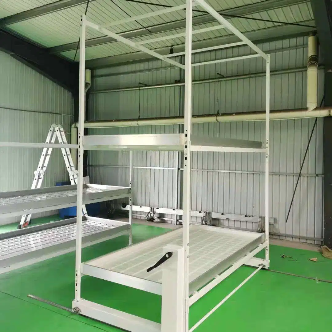 Hydroponics Comercial de la banqueta rodante bandejas de inundación de 4X8 Sistema crecer