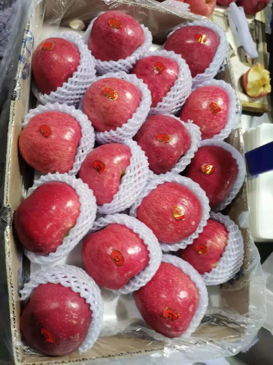 Delicious Honey FUJI Apple of Fresh for Export