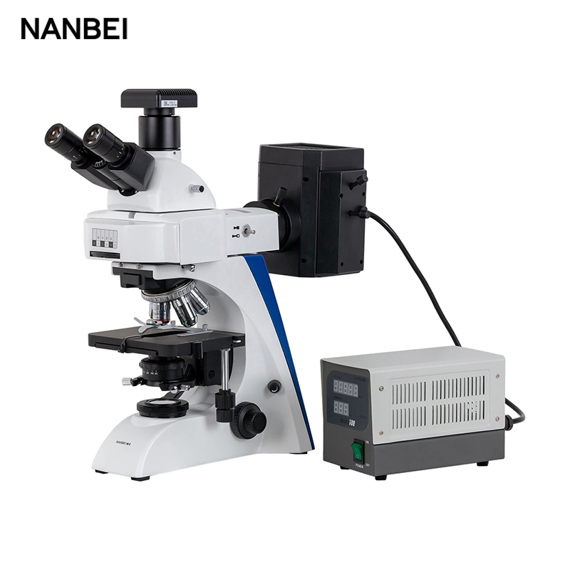 Trinocular Fluorescence Microscope with Ce