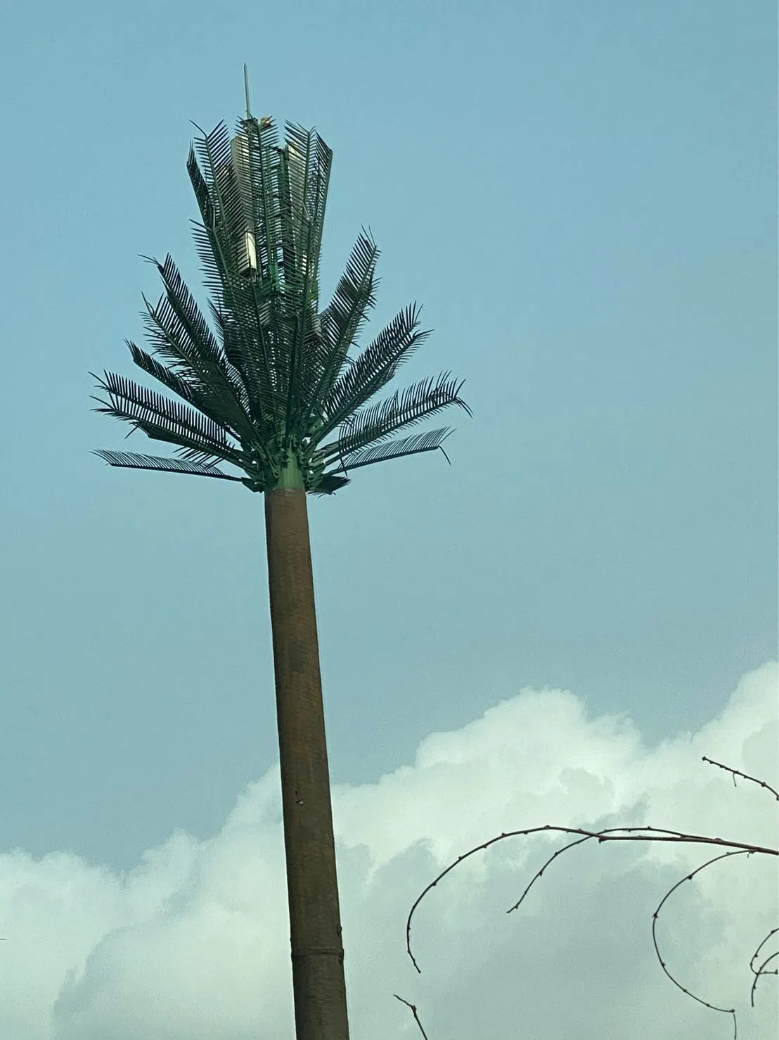 Antena Telecom artificial Palm Tree Communication camuflada Tower