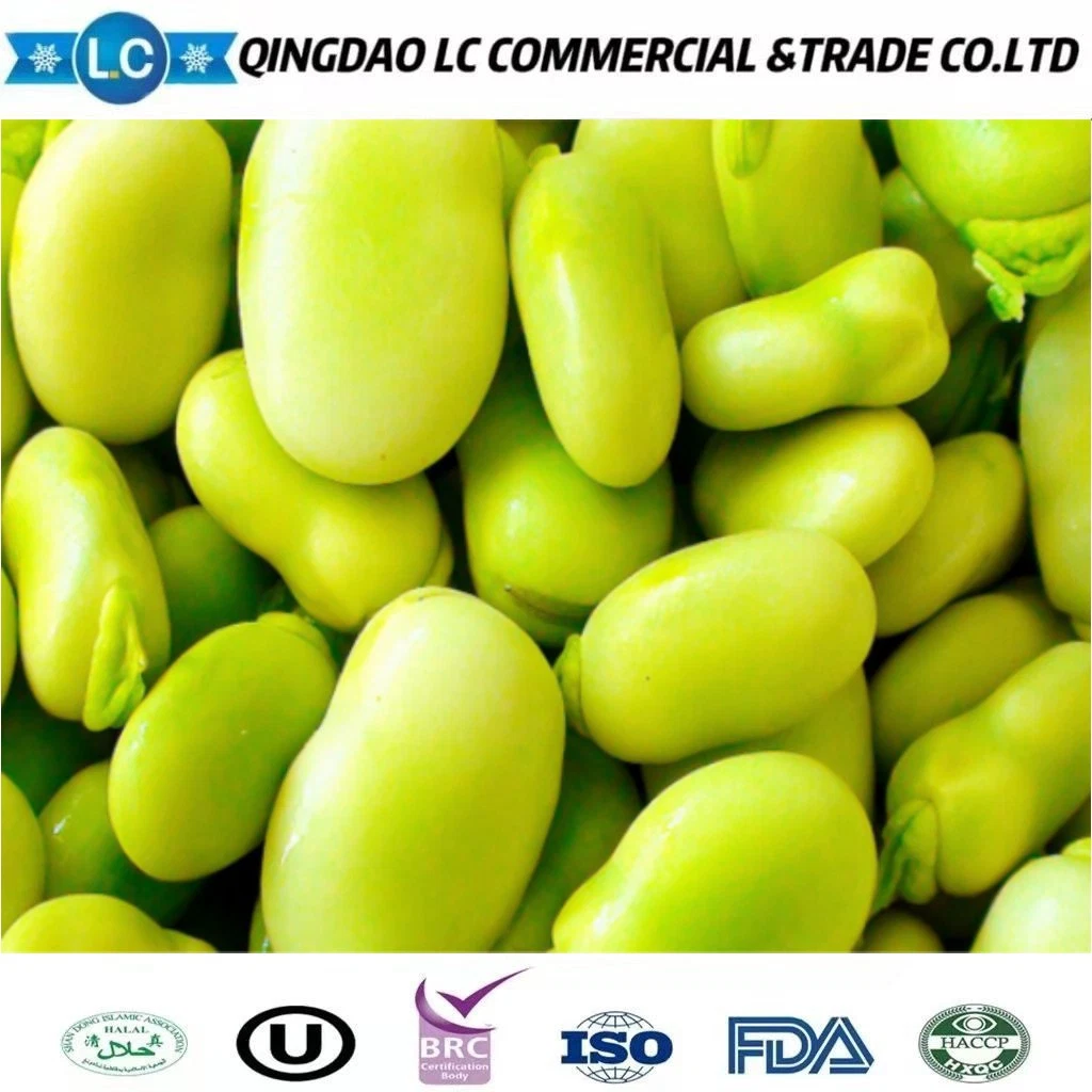 IQF Fresh Frozen Fava Peeled Broad Bean