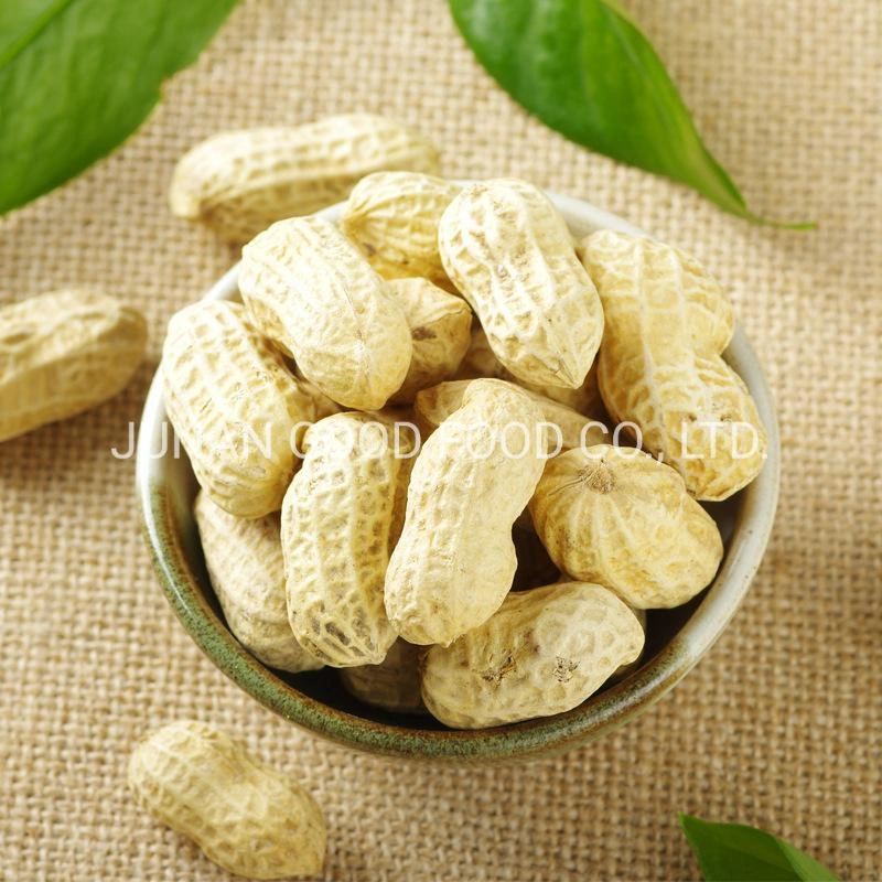 Groundnuts in Shell/Without Shell/Peanut/Raw