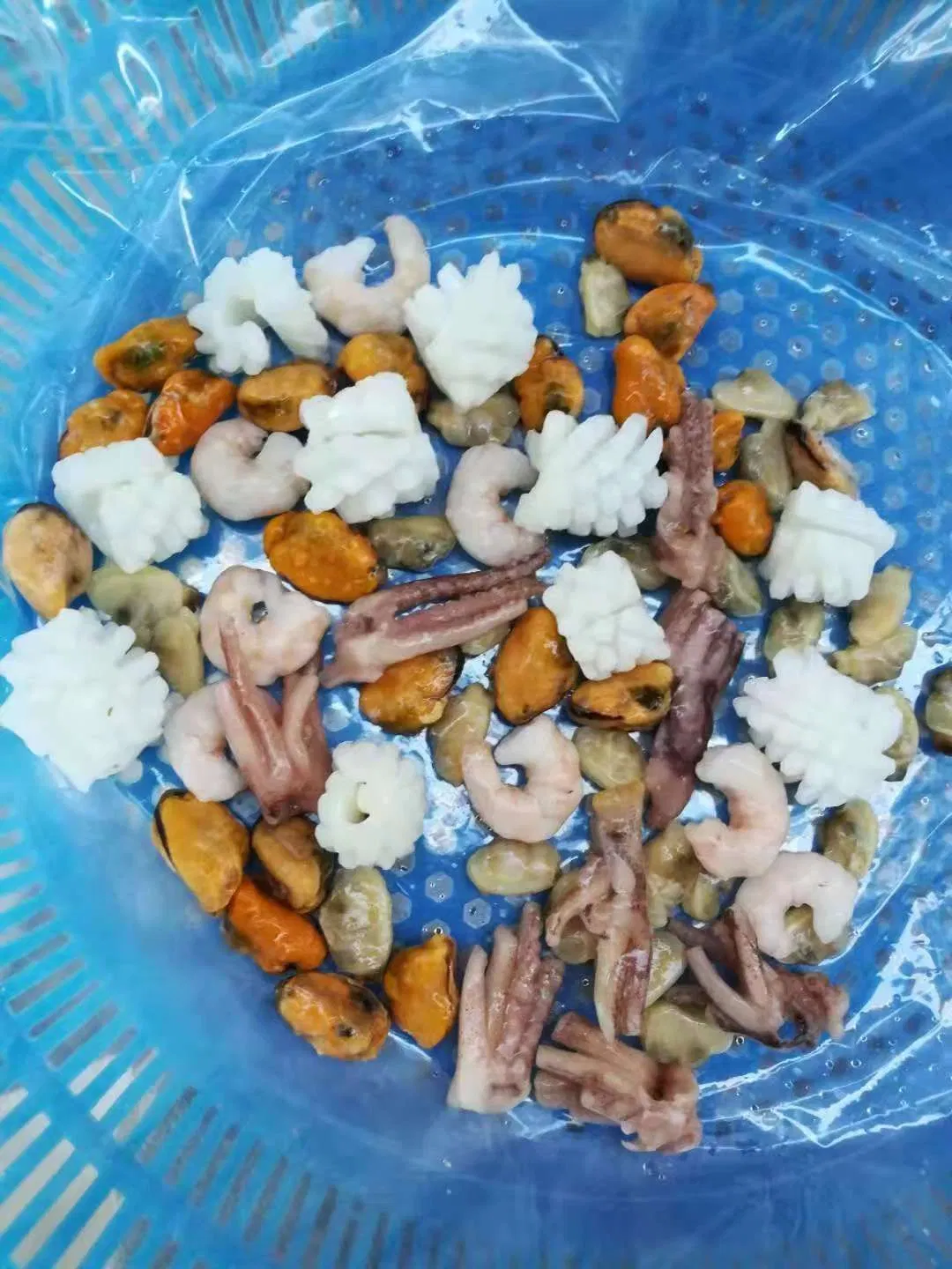 Frozen Seafood Mix Squid/Calamari/Calamar Crab Stick Mussel for Export