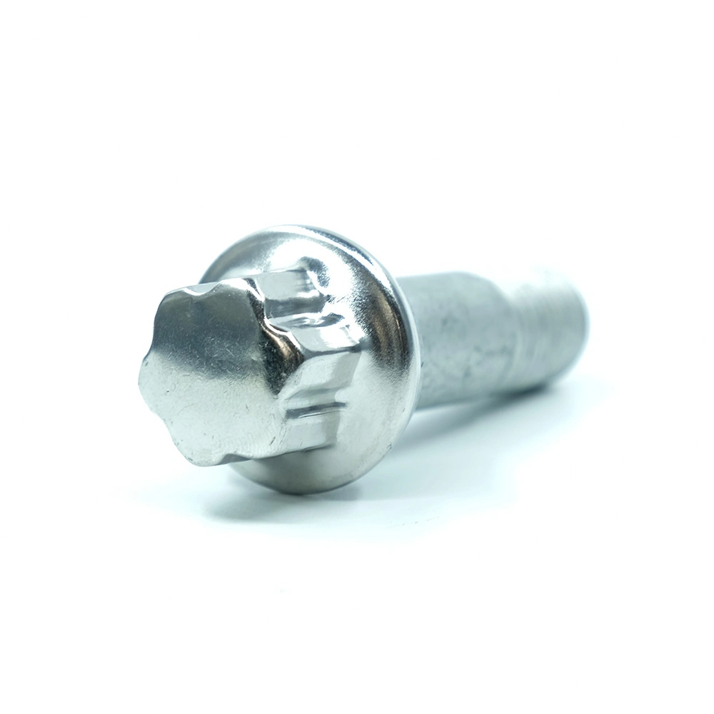 Ga Brand Customized Torx Tyer Bolt with Spline Shaped Head