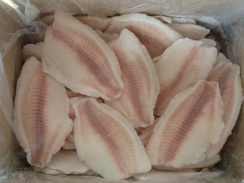 Congelados Tilapia Fillet / congelados Tilapia inteiro Round / congelados frutos do mar