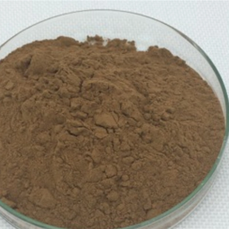 100% Pure Bulk Organic Raw Beetroot Powder Hot Air Drying Mushroom Extract Powder