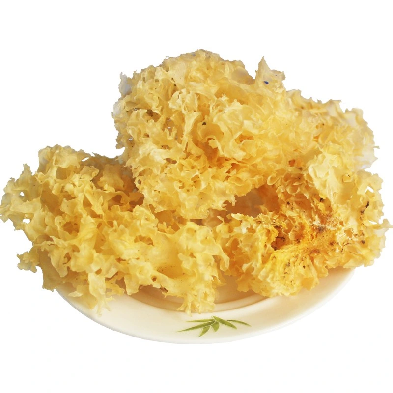 Tremella fuciformis Extrait de champignons de 40 % des polysaccharides