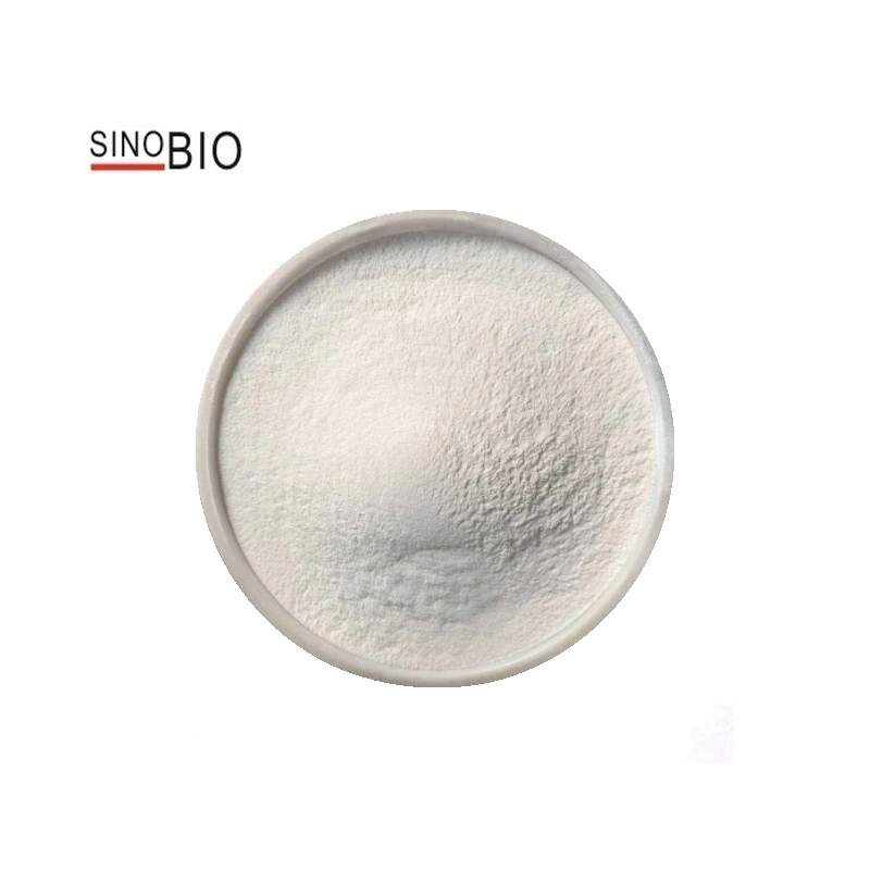 Sinobio Hot Selling Antioxidant Preservative Agent Ascorbyl Palmitate CAS 137-66-6