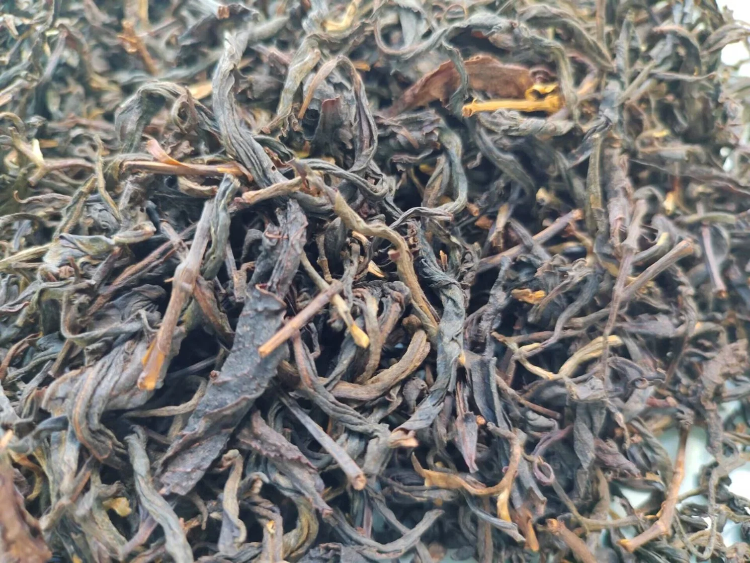 Té Negro té Fengqing no 7 Antiguo árbol Negro té