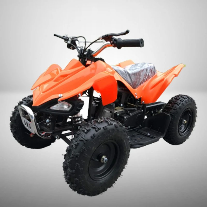 Factory Directly Wholesale/Supplier Good Quality Cheap Price 49cc Kids Quad for Sale