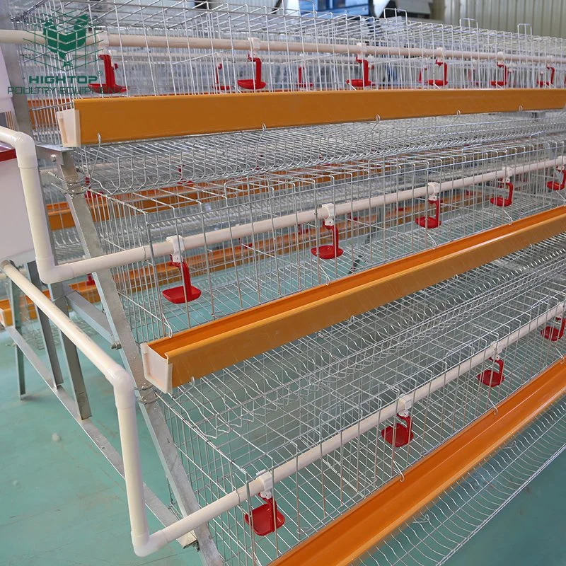 Pas cher A Type Soudé Fil Maille Volaille 120 Poules Cages de Couches en Vente