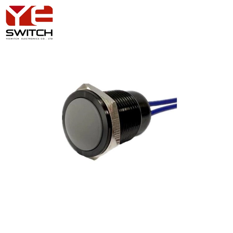 19mm IP68 Waterproof Push Button Switch