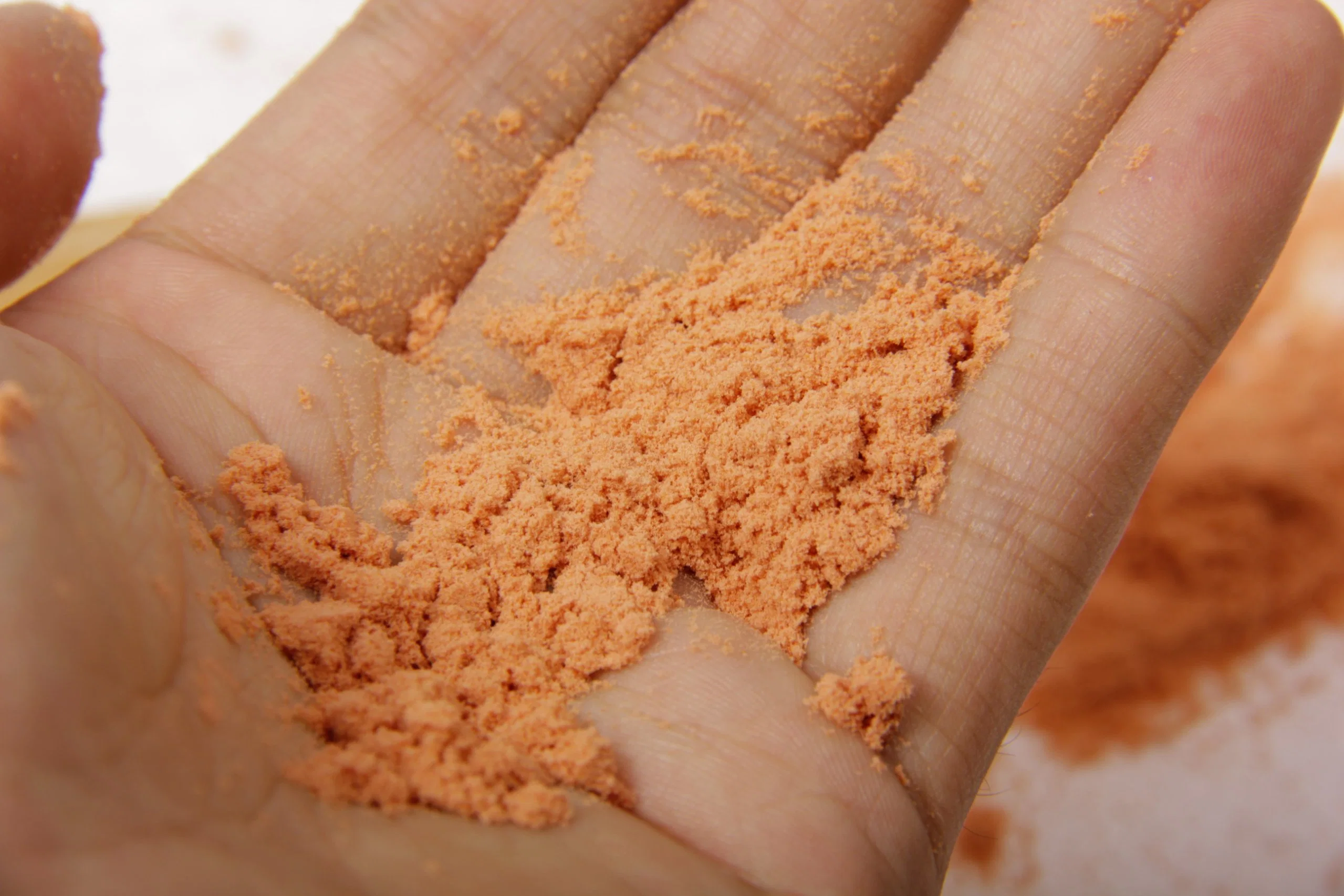 Polysaccharide Goji Berry Powder Natürliches Lycium Barbarum Extrakt