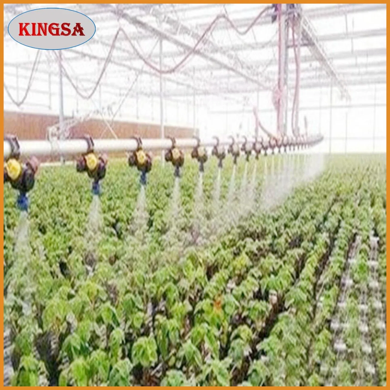 China Greenhouse Hydroponic Irrigation System Tomato Strawberry Agriculture Steel Frame Muti Span Polycarbonate Green House