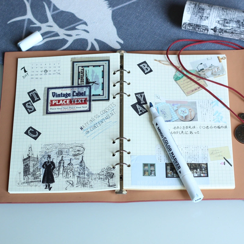 Classeur à anneaux Fancy 6 Trou Dossier papier rechargeables Carnet de notes avec le Retro de verrouillage de la poignée de commande