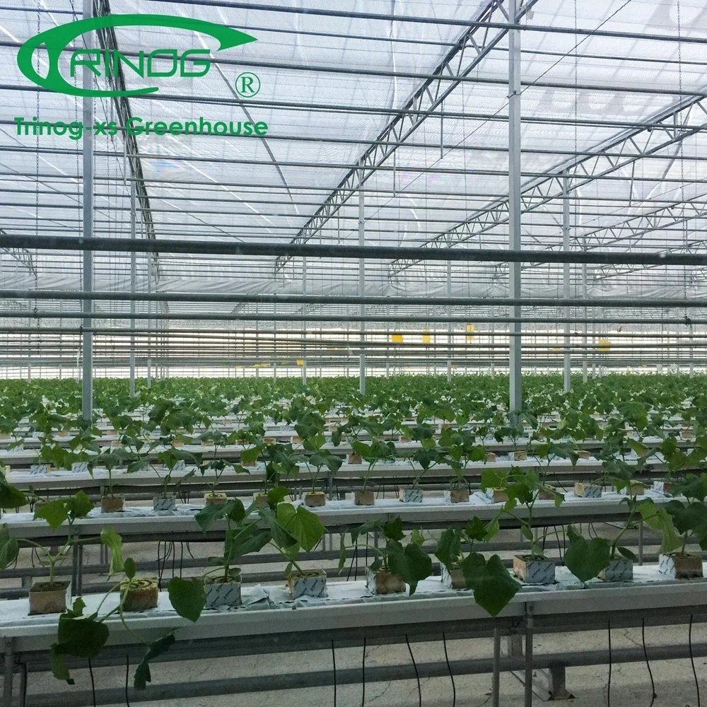 The Newest Multi-Span Galvanized Steel Pipe Structure Glass Greenhouse with Inner Shading System for Agriculture