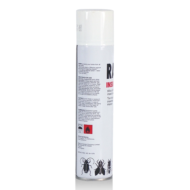 Commerce de gros 300ml Rambo spray insecticide de bonne qualité de pulvérisation pulvérisation d'insectes OEM