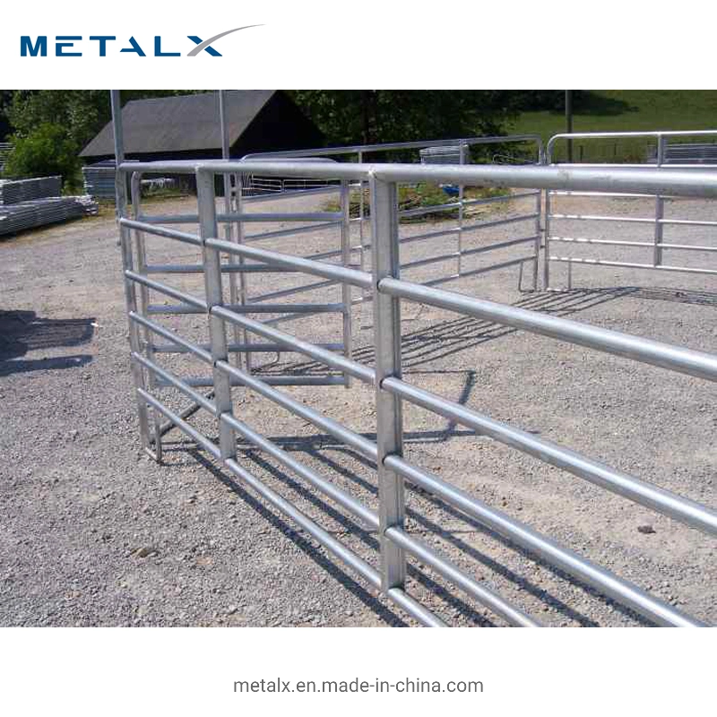 Galvanizado de alta calidad utilizan el tubo de metal de la ganadería de caballos de Paddock Corral valla