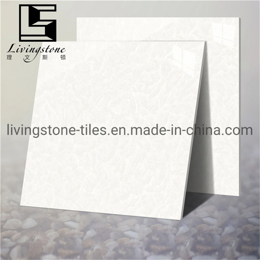 600*600mm Iceberg Snow Lotus Series Matt Finish Building Material Floor Cement Hotel Tile