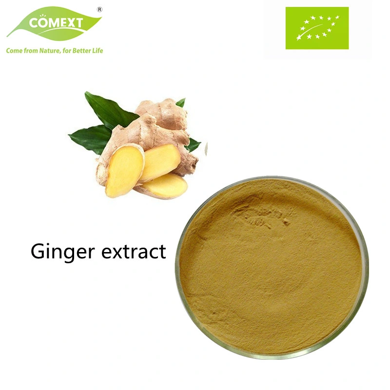 Comext Factory High quality/High cost performance  100% Natural Health Product Ginger Extract Ginger Root Extract