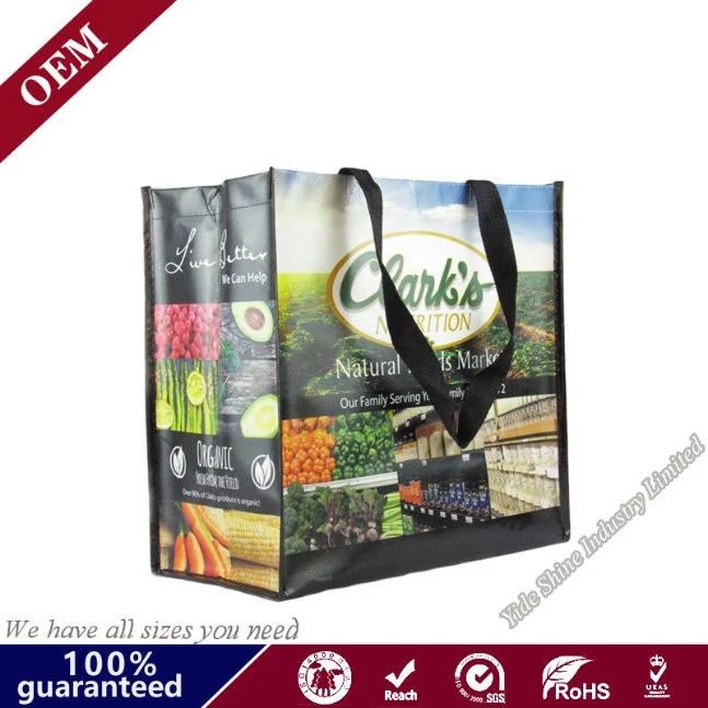 High Quality PP Non Woven Cloth Bag Non Woven Bag Shopping Bag Take out Food Delivery Bag
