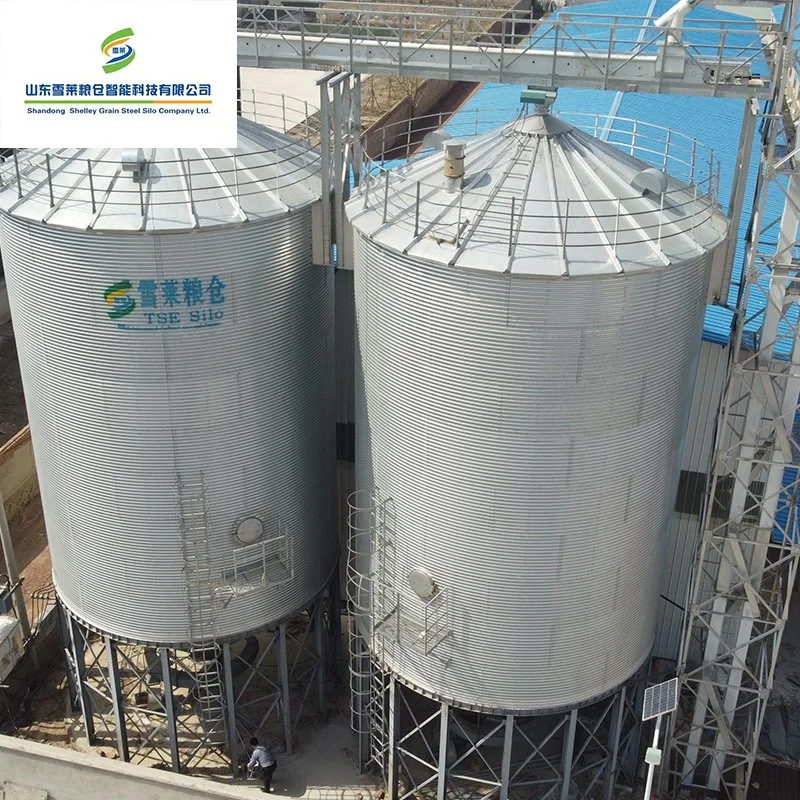 Fábrica de cerveza de trigo el grano de sorgo Silos precio de fábrica de acero para la venta