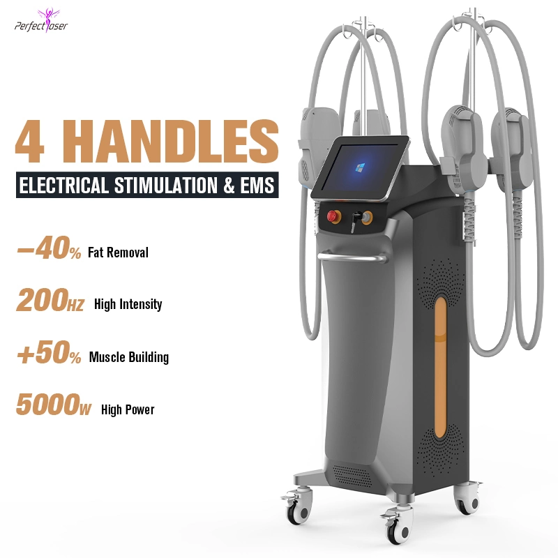 CE Weight Loss Electric Muscle Stimulator Body Shaping Beauty Equipment