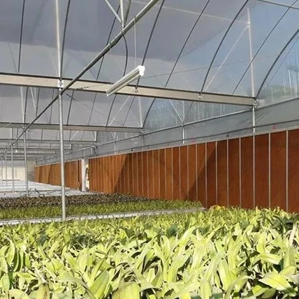 Customizable Air Curtain Evaporative Cooling Pad Agriculture Greenhouse System for Animal