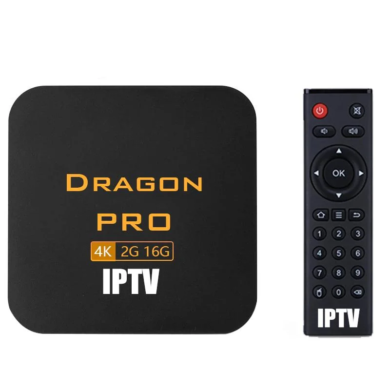 11000 Live 40000Dragonpro IPTV IPTV VOD подписка 12 месяцев с Xxx бесплатный тестовый