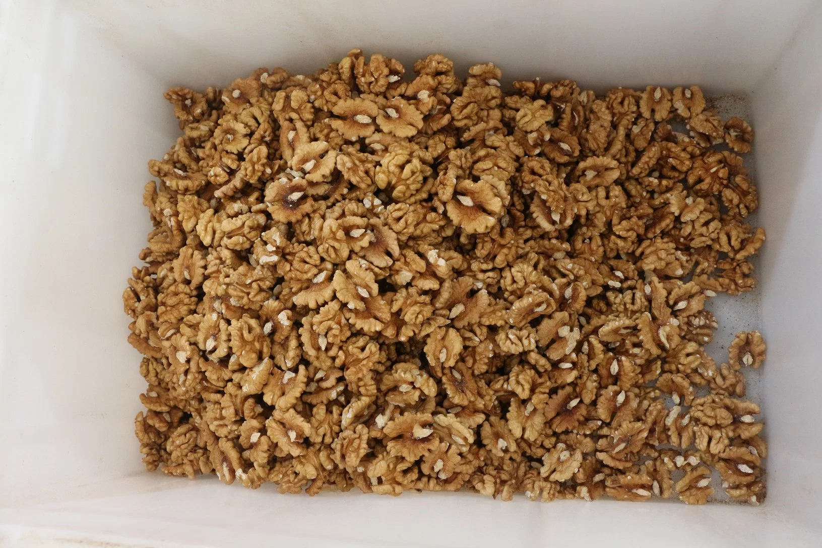 Sweet Walnuts Kernels Peeled Dried Fruits Halves Butterfly Extra Light Raw Nuts Wholesale/Supplier