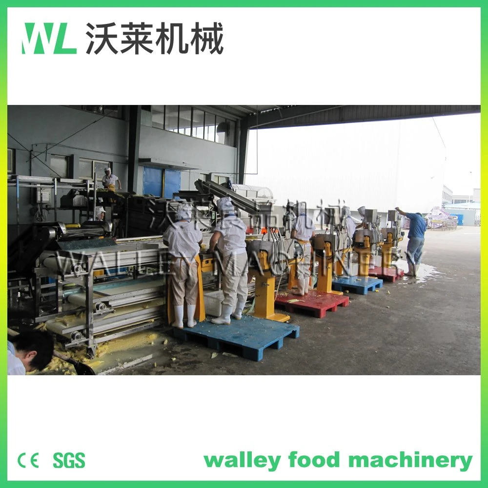 Customizing Corn Kernel Threshing Machine Corn Thresher