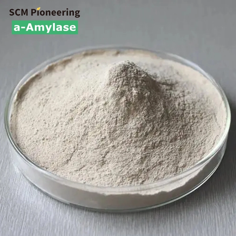 Original Factory Wholesale/Supplier Food Grade Fungal Alpha Amylase / Alpha-Amylase Enzyme